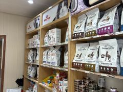 -中农大我爱我爱24h动物医院·中医针灸·猫专科·骨科医疗中心(双井店)