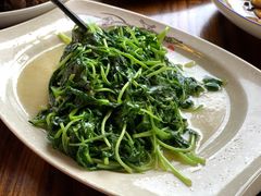 鸡毛菜-西塘人家•黑金冠本地好店