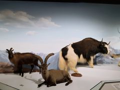 -陕西自然博物馆