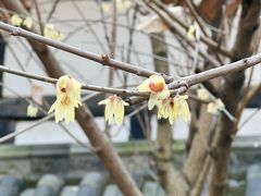 -清代四川贡院