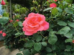 -南通洲际绿博园