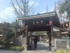 -青城甲(青城山店)