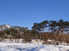 -景福宫