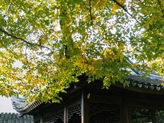 -秋霞圃