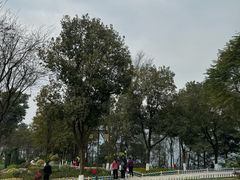 -铁山坪森林公园