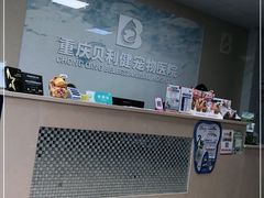 -宠颐生贝利健动物医院(谢家湾分院)