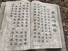 -茅兰沟国家森林公园