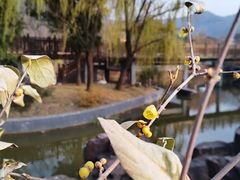 -无锡动物园·太湖欢乐园
