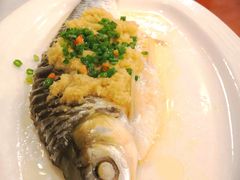 忘不了鱼-金城大酒店-中餐厅(汾江中路店)