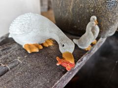 -崂山水果园农家宴(泉水鸡店)