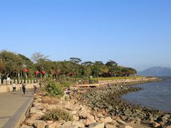 -宝安西湾红树林湿地公园