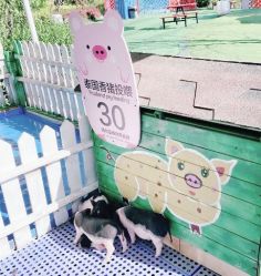 -萌宠亲子动物乐园(槐房万达店)