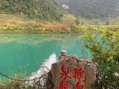 -靖西鹅泉风景区