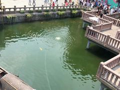 -豫园湖心亭茶楼
