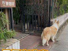 -豆舞咖啡(民乐路店)