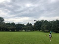 -奥林匹克森林公园南门-停车场