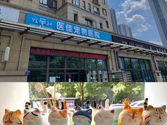 -萌兽医馆·宠物医院·猫骨科(创景店)