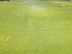 -广州冠景高尔夫练习场