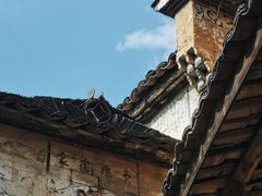 -杨家堂村