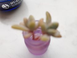 -尚艺造型.剪烫染.接发