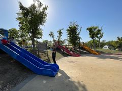 -春花秋色城市公园