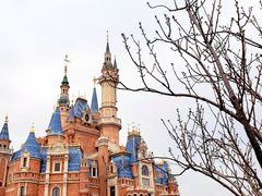 -上海迪士尼度假区