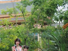-七彩云南古滇温泉山庄