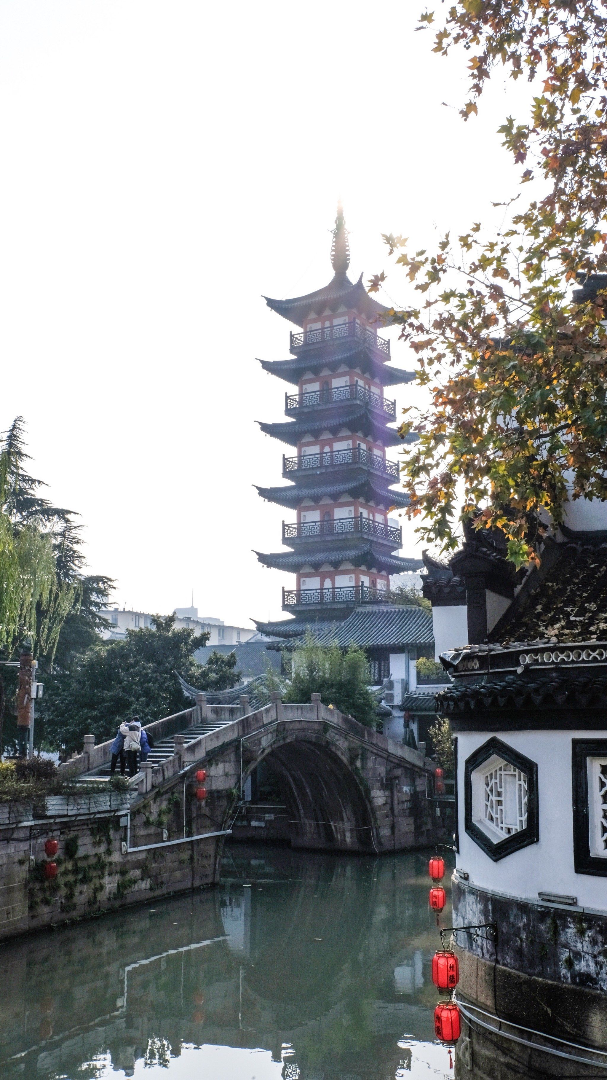 逛园林看展览逛溜老街,悠哉悠哉游嘉定