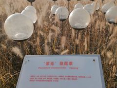 -密云玫瑰情园