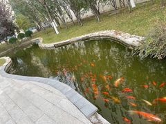 -北京国家会计学院