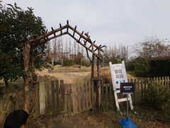 -前小桔亲子创意农场·草莓采摘·露营烧烤