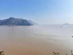 -北岐滩涂