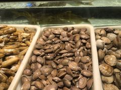 -海吃海喝海鲜烤肉炭火主题自助餐(朝阳店)