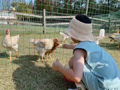 -前小桔亲子创意农场·草莓采摘·露营烧烤