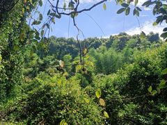 -梅岭月亮湾山体公园