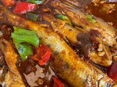 -黄四老鱼馆(尚东国际店)
