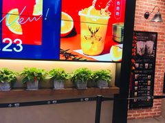 -鹿角巷The Alley(龙湖天街店)