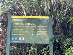 -怀托摩萤火虫洞