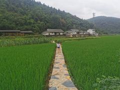 -地心探险极地