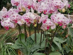 -兰陵国家农业公园