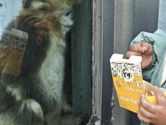 -商丘市人民公园