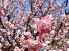 -鹫峰国家森林公园