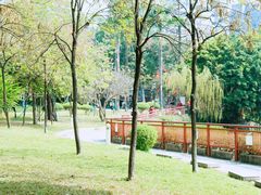 -荔湾湖公园