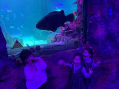 -沈阳海洋探索中心