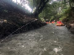 -天目湖松岭竹海漂流