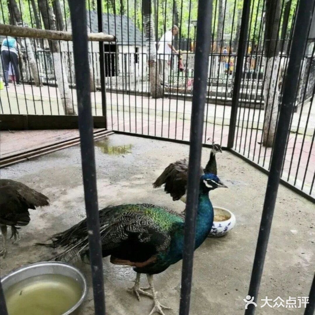 帝都遛娃必打卡🙉🙉亲子动物乐园