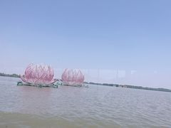 -溱湖国家湿地公园