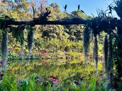 -深圳仙湖植物园
