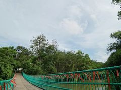 -南宁良凤江国家森林公园