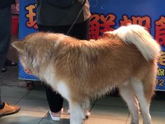 -永和豆漿(西門町店)